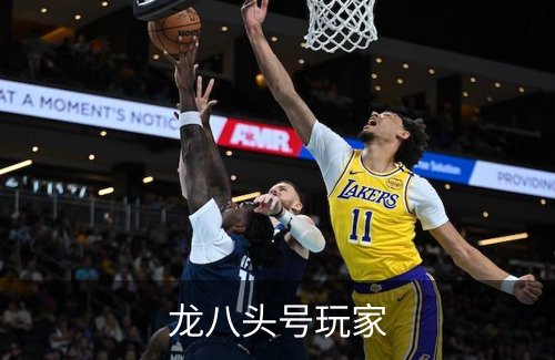 龙八头号玩家简介